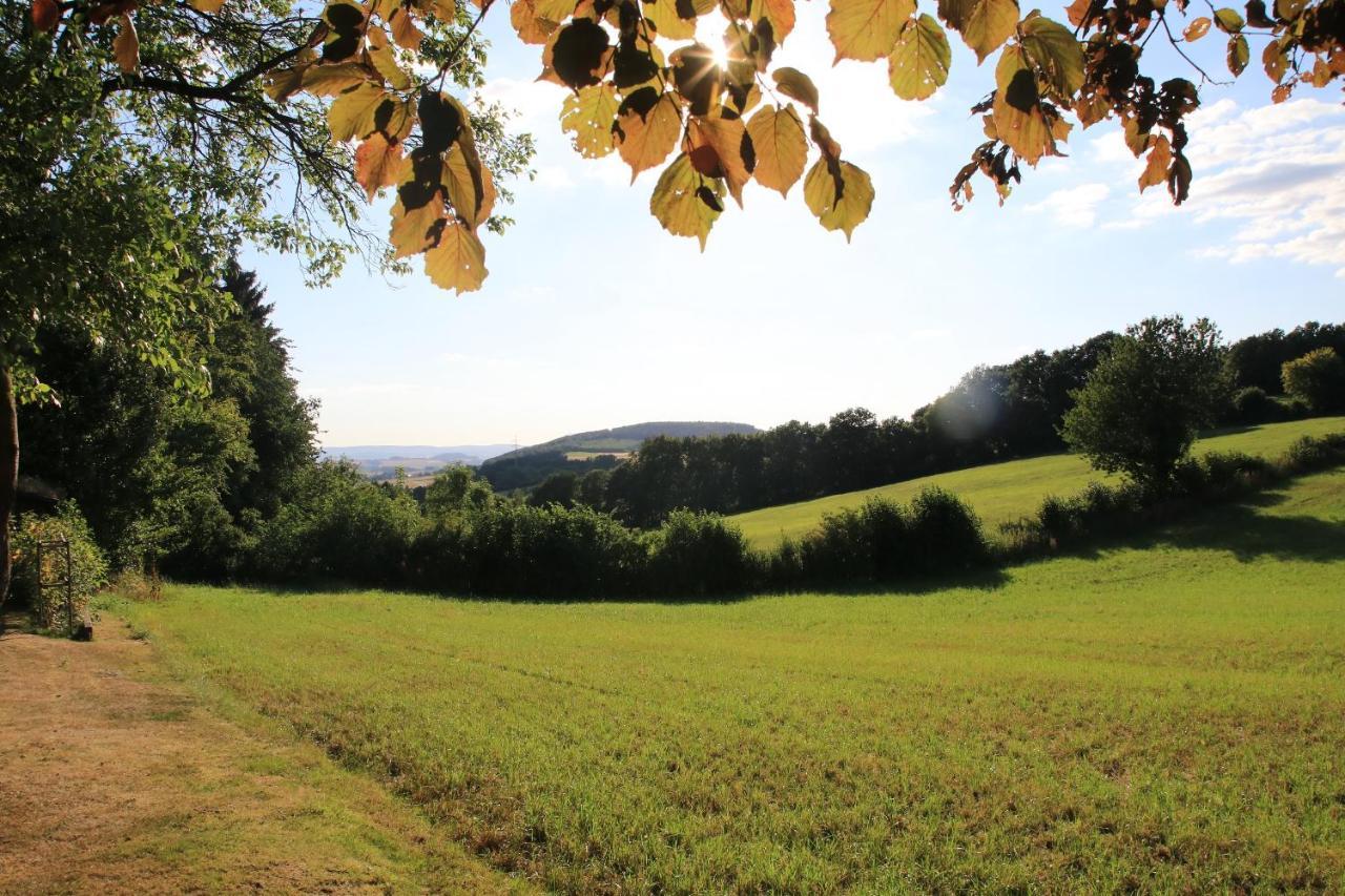 Ferienwohnung Naturfreund Lügde المظهر الخارجي الصورة